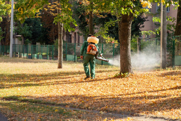 Hurley, NM Pest Control Company